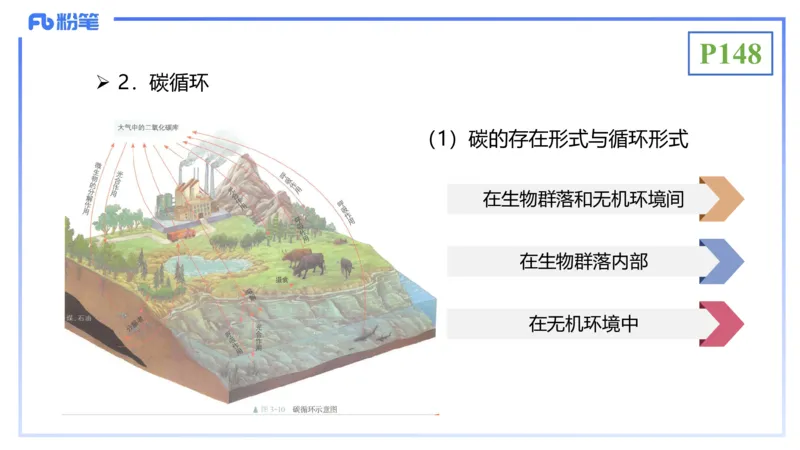 理论精讲19-生态学2-拾光_4-教培资料-26年最新资料-同步更新_初中高中教资_03科三专项（进去保存报考的学科即可）_01科目三FB网课、三色速记手册、知识点导图等推荐_初中
