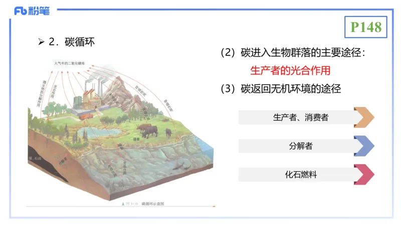 理论精讲19-生态学2-拾光_4-教培资料-26年最新资料-同步更新_初中高中教资_03科三专项（进去保存报考的学科即可）_01科目三FB网课、三色速记手册、知识点导图等推荐_初中