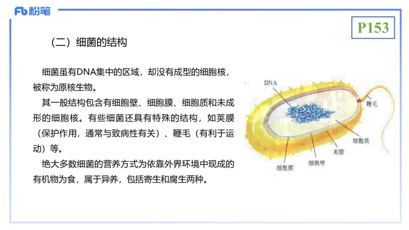 理论精讲19-生态学2-拾光_4-教培资料-26年最新资料-同步更新_初中高中教资_03科三专项（进去保存报考的学科即可）_01科目三FB网课、三色速记手册、知识点导图等推荐_初中