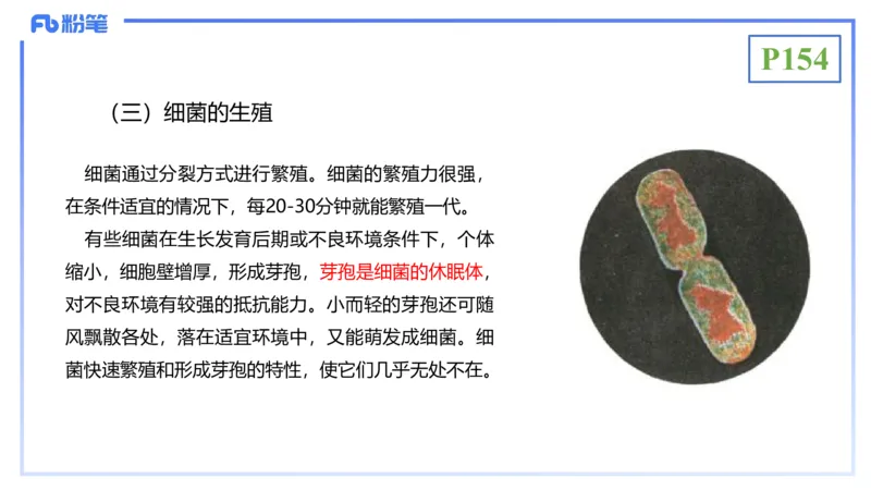 理论精讲19-生态学2-拾光_4-教培资料-26年最新资料-同步更新_初中高中教资_03科三专项（进去保存报考的学科即可）_01科目三FB网课、三色速记手册、知识点导图等推荐_初中