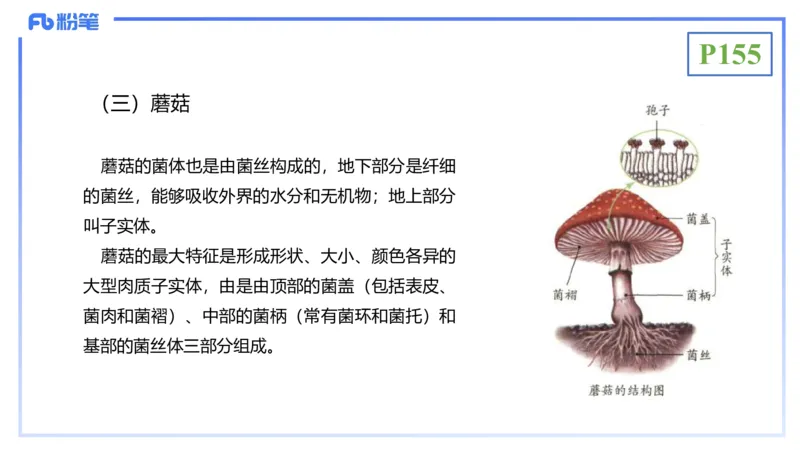 理论精讲19-生态学2-拾光_4-教培资料-26年最新资料-同步更新_初中高中教资_03科三专项（进去保存报考的学科即可）_01科目三FB网课、三色速记手册、知识点导图等推荐_初中