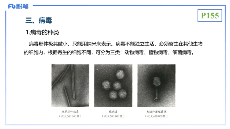 理论精讲19-生态学2-拾光_4-教培资料-26年最新资料-同步更新_初中高中教资_03科三专项（进去保存报考的学科即可）_01科目三FB网课、三色速记手册、知识点导图等推荐_初中
