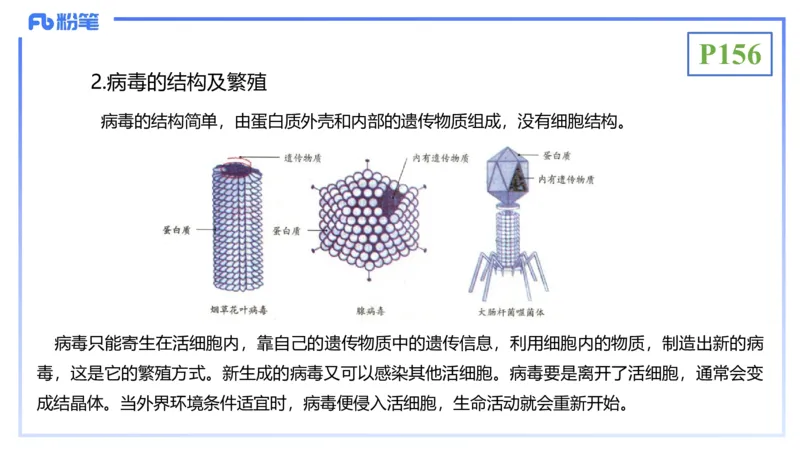 理论精讲19-生态学2-拾光_4-教培资料-26年最新资料-同步更新_初中高中教资_03科三专项（进去保存报考的学科即可）_01科目三FB网课、三色速记手册、知识点导图等推荐_初中