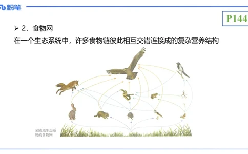 理论精讲19-生态学2-拾光_4-教培资料-26年最新资料-同步更新_初中高中教资_03科三专项（进去保存报考的学科即可）_01科目三FB网课、三色速记手册、知识点导图等推荐_初中