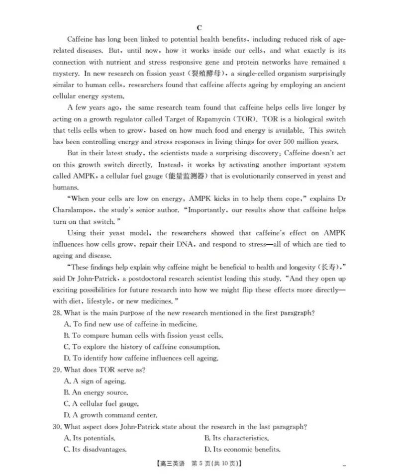英语(已优化)_2025年12月_251203陕西省金太阳2025-2026学年高三上学期11月联考（全科）_陕西省金太阳2025-2026学年高三上学期11月联考英语试卷（含答案）