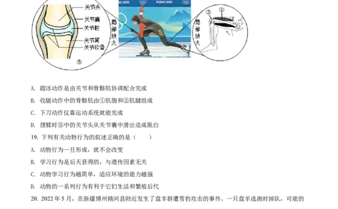 精品解析：2022年新疆维吾尔自治区新疆生产建设兵团中考生物真题（原卷版）_中考真题_8.生物中考真题2015-2024年_2022年全国中考生物114份14