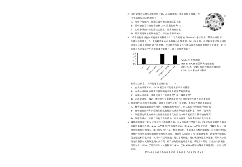高三11月鄂东南联考生物试卷_251103湖北省鄂东南教育联盟2025-2026学年高三上学期11月联考（全科）_湖北省鄂东南教育联盟2025-2026学年高三上学期期中考试生物