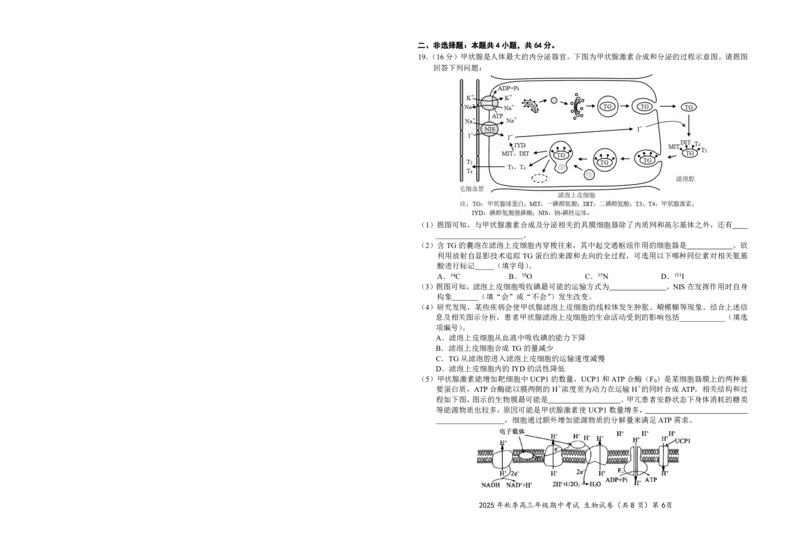 高三11月鄂东南联考生物试卷_251103湖北省鄂东南教育联盟2025-2026学年高三上学期11月联考（全科）_湖北省鄂东南教育联盟2025-2026学年高三上学期期中考试生物