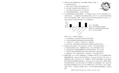 高三11月鄂东南联考生物试卷_251103湖北省鄂东南教育联盟2025-2026学年高三上学期11月联考（全科）_湖北省鄂东南教育联盟2025-2026学年高三上学期期中考试生物