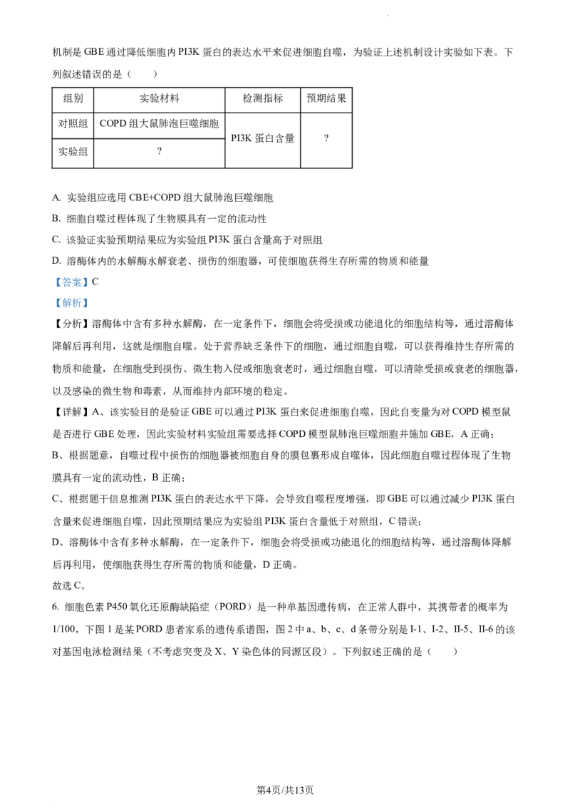 精品解析：内蒙古自治区锡林郭勒盟2023-2024学年高三1月期末生物试题（解析版）_2024届内蒙古锡林郭勒盟上学期高三年级全盟统考_内蒙古锡林郭勒盟2024届上学期高三年级全盟统考生物