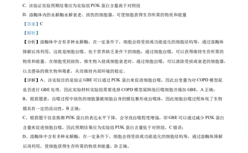 精品解析：内蒙古自治区锡林郭勒盟2023-2024学年高三1月期末生物试题（解析版）_2024届内蒙古锡林郭勒盟上学期高三年级全盟统考_内蒙古锡林郭勒盟2024届上学期高三年级全盟统考生物