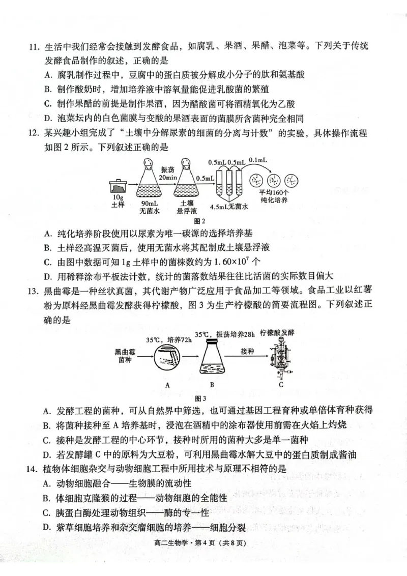 贵州省贵阳市2024-2025学年高二下学期6月期末生物试题（含答案）_2025年7月_250706贵州省贵阳市2024-2025学年高二下学期6月期末（全科）