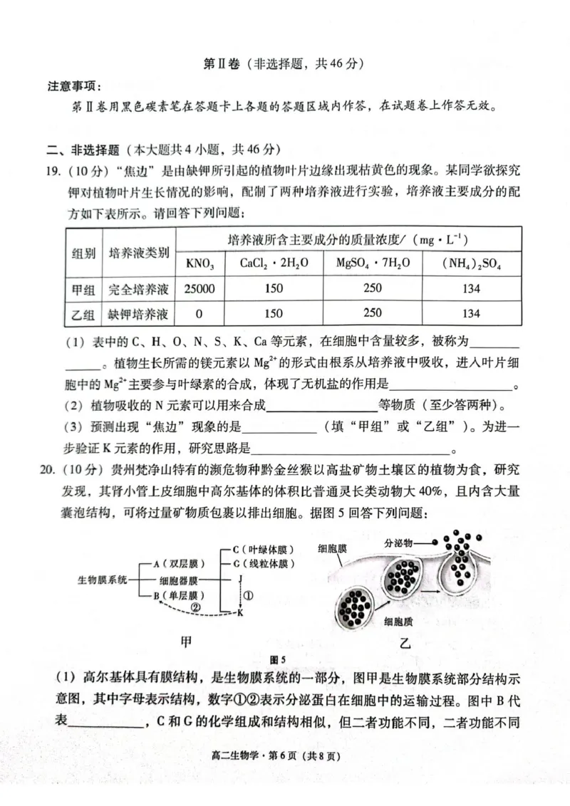 贵州省贵阳市2024-2025学年高二下学期6月期末生物试题（含答案）_2025年7月_250706贵州省贵阳市2024-2025学年高二下学期6月期末（全科）