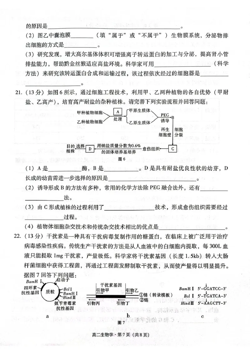 贵州省贵阳市2024-2025学年高二下学期6月期末生物试题（含答案）_2025年7月_250706贵州省贵阳市2024-2025学年高二下学期6月期末（全科）