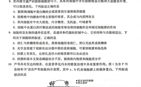 贵州省贵阳市2024-2025学年高二下学期6月期末生物试题（含答案）_2025年7月_250706贵州省贵阳市2024-2025学年高二下学期6月期末（全科）