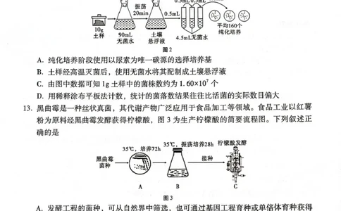 贵州省贵阳市2024-2025学年高二下学期6月期末生物试题（含答案）_2025年7月_250706贵州省贵阳市2024-2025学年高二下学期6月期末（全科）