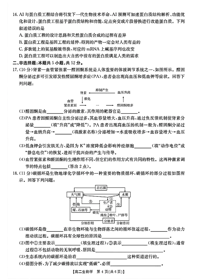 陕西省2024-2025学年高二期末教学质量检测生物_2025年7月_250705陕西省2024-2025学年高二期末教学质量检测（金太阳25-567B）（全科）