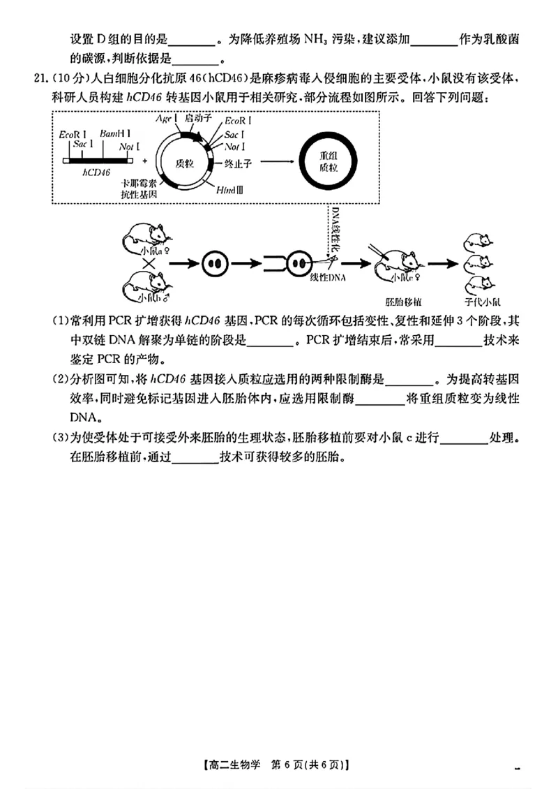 陕西省2024-2025学年高二期末教学质量检测生物_2025年7月_250705陕西省2024-2025学年高二期末教学质量检测（金太阳25-567B）（全科）