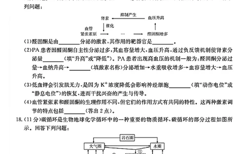 陕西省2024-2025学年高二期末教学质量检测生物_2025年7月_250705陕西省2024-2025学年高二期末教学质量检测（金太阳25-567B）（全科）