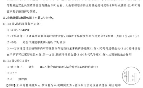 生物答案_2025年7月_250715湖南省&middot;天壹名校联盟2026届高三起点考试（全科）_答案