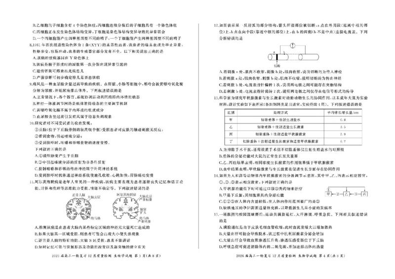百师联盟2026届高三上学期一轮复习12月质量检测生物试题+答案_2025年12月_251211百师联盟2026届高三上学期一轮复习12月质量检测