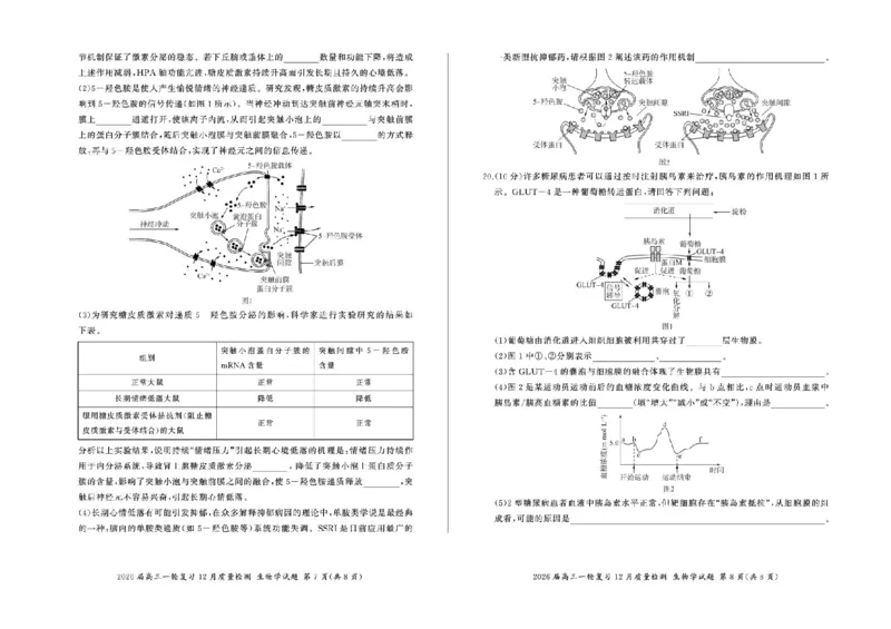 百师联盟2026届高三上学期一轮复习12月质量检测生物试题+答案_2025年12月_251211百师联盟2026届高三上学期一轮复习12月质量检测