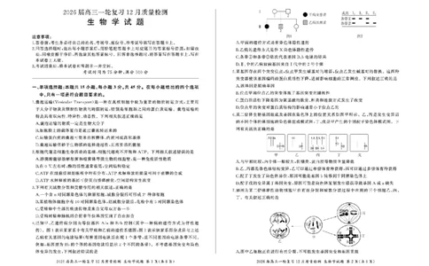 百师联盟2026届高三上学期一轮复习12月质量检测生物试题+答案_2025年12月_251211百师联盟2026届高三上学期一轮复习12月质量检测