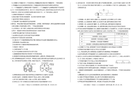 百师联盟2026届高三上学期一轮复习12月质量检测生物试题+答案_2025年12月_251211百师联盟2026届高三上学期一轮复习12月质量检测