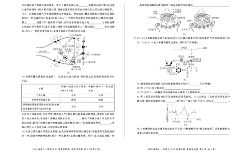 百师联盟2026届高三上学期一轮复习12月质量检测生物试题+答案_2025年12月_251211百师联盟2026届高三上学期一轮复习12月质量检测