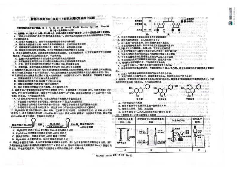 四川省成都市树德中学2024届高三上学期期末考试理综_2024届四川省成都市树德中学高三上学期期末考试