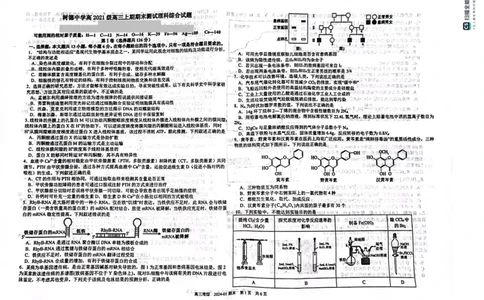 四川省成都市树德中学2024届高三上学期期末考试理综_2024届四川省成都市树德中学高三上学期期末考试