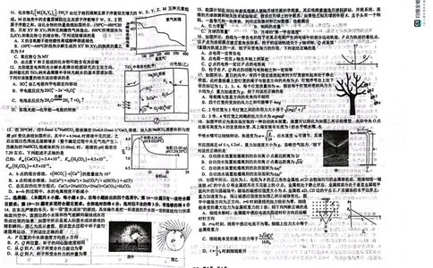 四川省成都市树德中学2024届高三上学期期末考试理综_2024届四川省成都市树德中学高三上学期期末考试