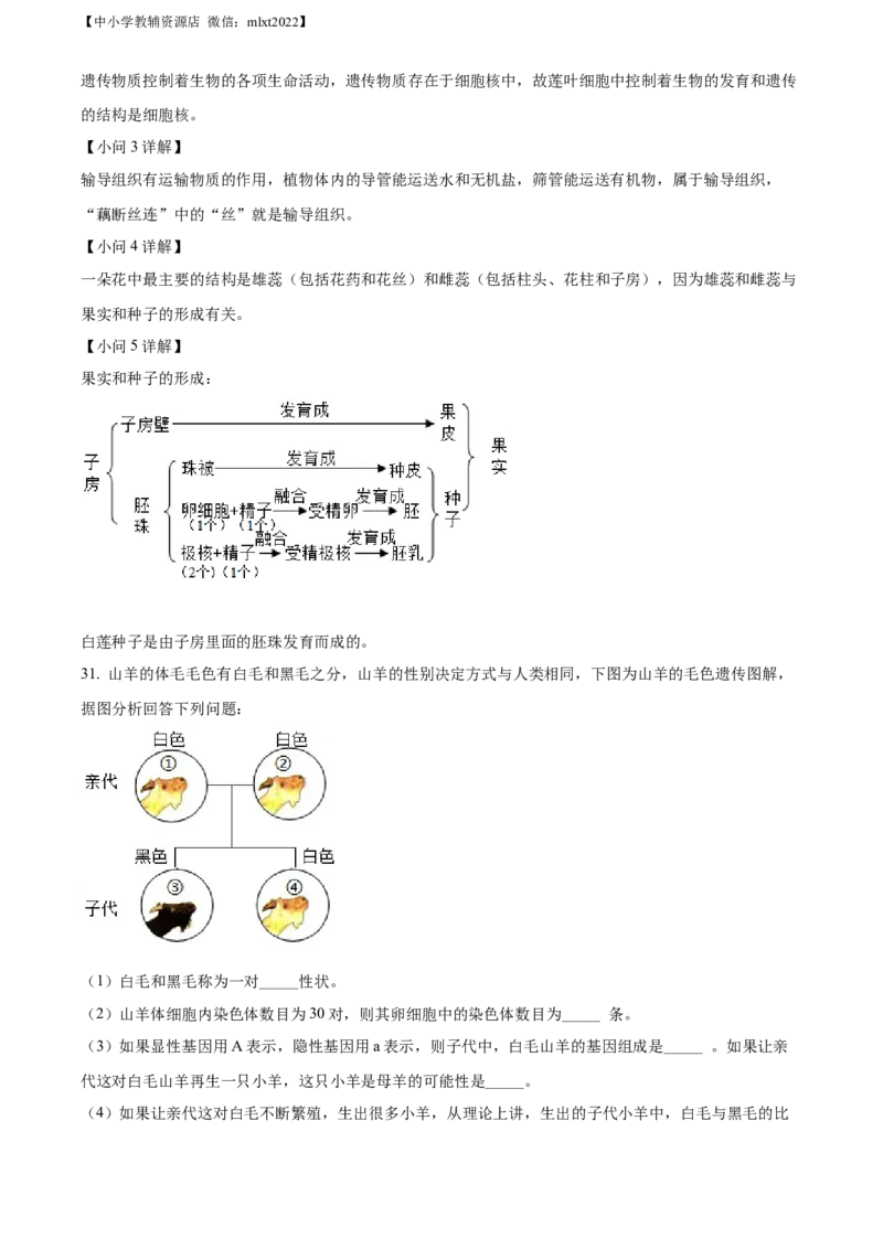 精品解析：2022年湖南省郴州市中考生物真题（解析版）_中考真题_8.生物中考真题2015-2024年_2022年全国中考生物114份14