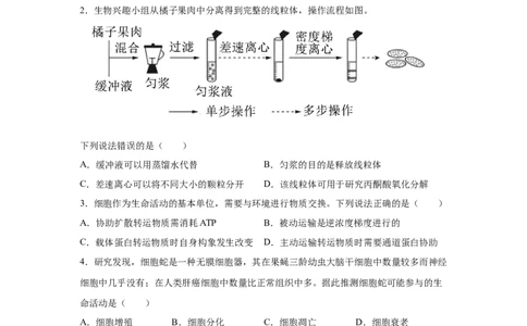 云南2025年高考云南卷生物高考真题文档版_1.高考2025全国各省真题+答案_9.高考生物真题答案更新中