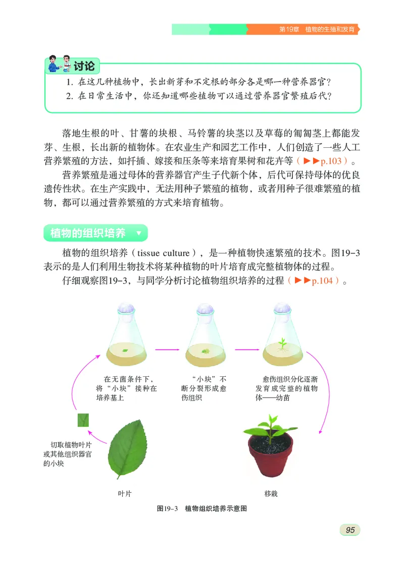 苏科版8年级生物上册高清教材_4-教培资料-26年最新资料-同步更新_初中高中教资_03科三专项（进去保存报考的学科即可）_02科三专项（笔记真题思维导图教学设计版本二）