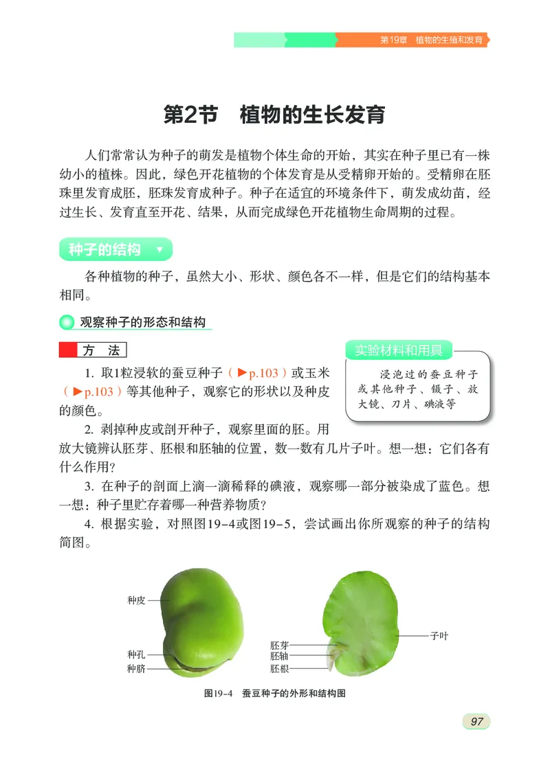 苏科版8年级生物上册高清教材_4-教培资料-26年最新资料-同步更新_初中高中教资_03科三专项（进去保存报考的学科即可）_02科三专项（笔记真题思维导图教学设计版本二）