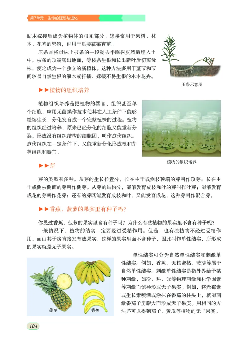 苏科版8年级生物上册高清教材_4-教培资料-26年最新资料-同步更新_初中高中教资_03科三专项（进去保存报考的学科即可）_02科三专项（笔记真题思维导图教学设计版本二）
