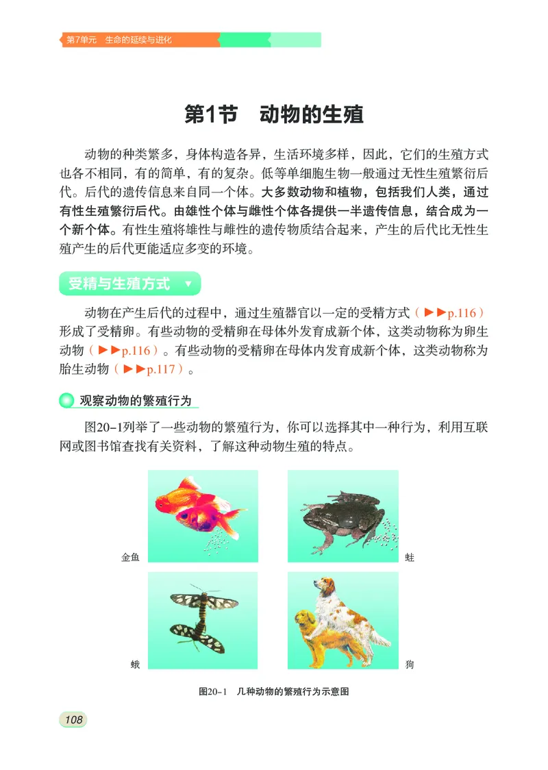 苏科版8年级生物上册高清教材_4-教培资料-26年最新资料-同步更新_初中高中教资_03科三专项（进去保存报考的学科即可）_02科三专项（笔记真题思维导图教学设计版本二）