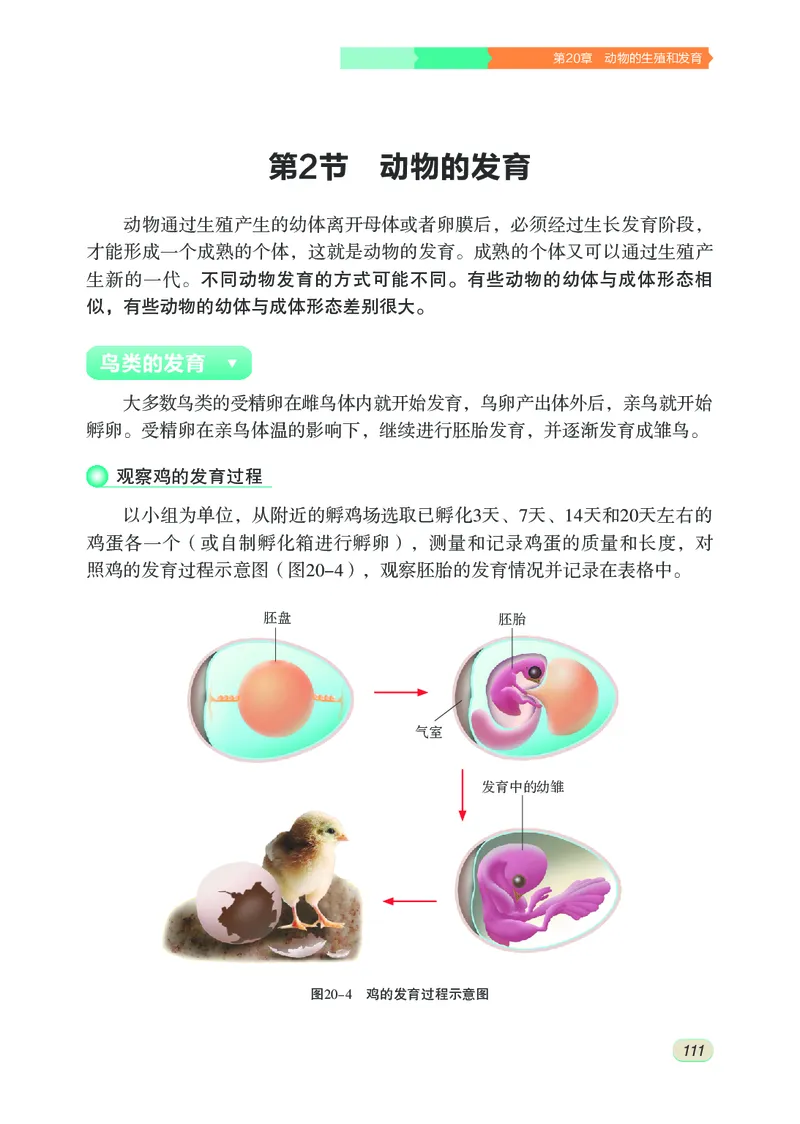 苏科版8年级生物上册高清教材_4-教培资料-26年最新资料-同步更新_初中高中教资_03科三专项（进去保存报考的学科即可）_02科三专项（笔记真题思维导图教学设计版本二）
