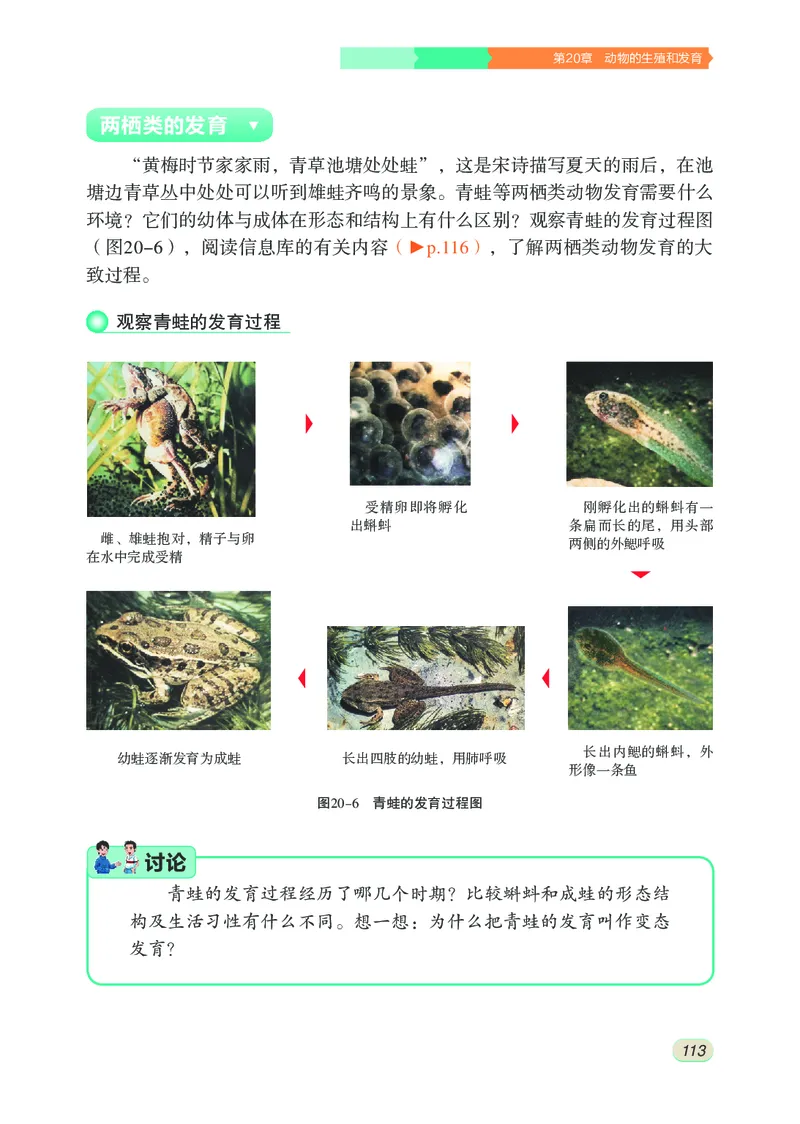 苏科版8年级生物上册高清教材_4-教培资料-26年最新资料-同步更新_初中高中教资_03科三专项（进去保存报考的学科即可）_02科三专项（笔记真题思维导图教学设计版本二）