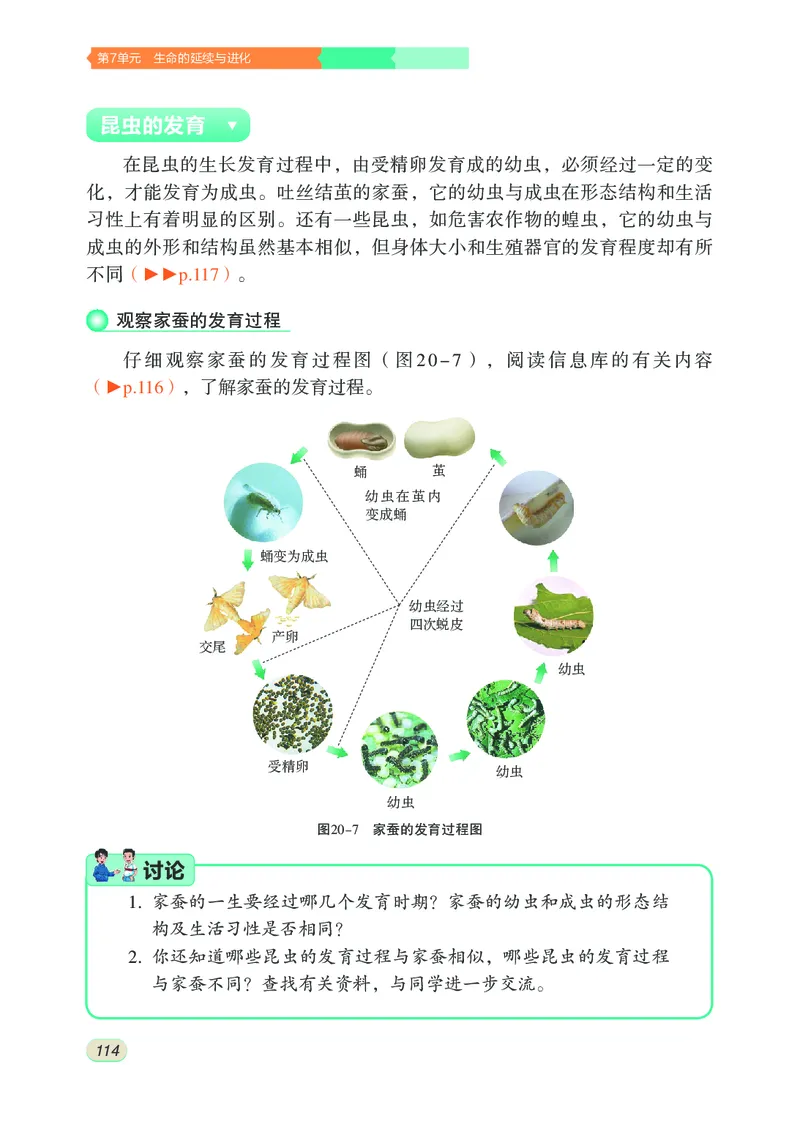 苏科版8年级生物上册高清教材_4-教培资料-26年最新资料-同步更新_初中高中教资_03科三专项（进去保存报考的学科即可）_02科三专项（笔记真题思维导图教学设计版本二）