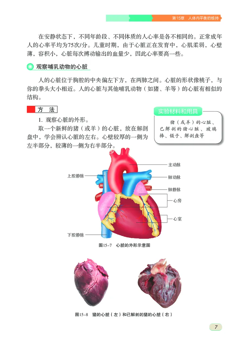 苏科版8年级生物上册高清教材_4-教培资料-26年最新资料-同步更新_初中高中教资_03科三专项（进去保存报考的学科即可）_02科三专项（笔记真题思维导图教学设计版本二）