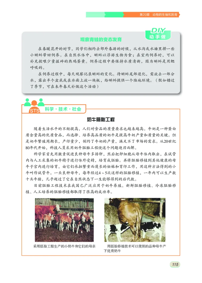 苏科版8年级生物上册高清教材_4-教培资料-26年最新资料-同步更新_初中高中教资_03科三专项（进去保存报考的学科即可）_02科三专项（笔记真题思维导图教学设计版本二）