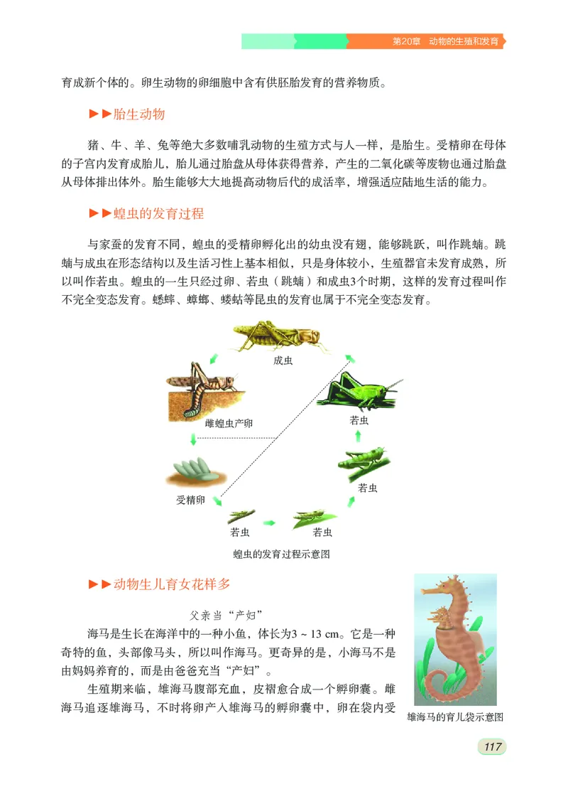 苏科版8年级生物上册高清教材_4-教培资料-26年最新资料-同步更新_初中高中教资_03科三专项（进去保存报考的学科即可）_02科三专项（笔记真题思维导图教学设计版本二）