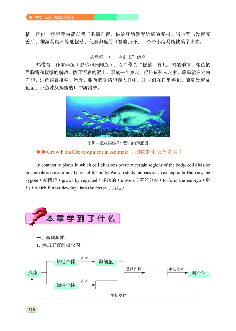 苏科版8年级生物上册高清教材_4-教培资料-26年最新资料-同步更新_初中高中教资_03科三专项（进去保存报考的学科即可）_02科三专项（笔记真题思维导图教学设计版本二）