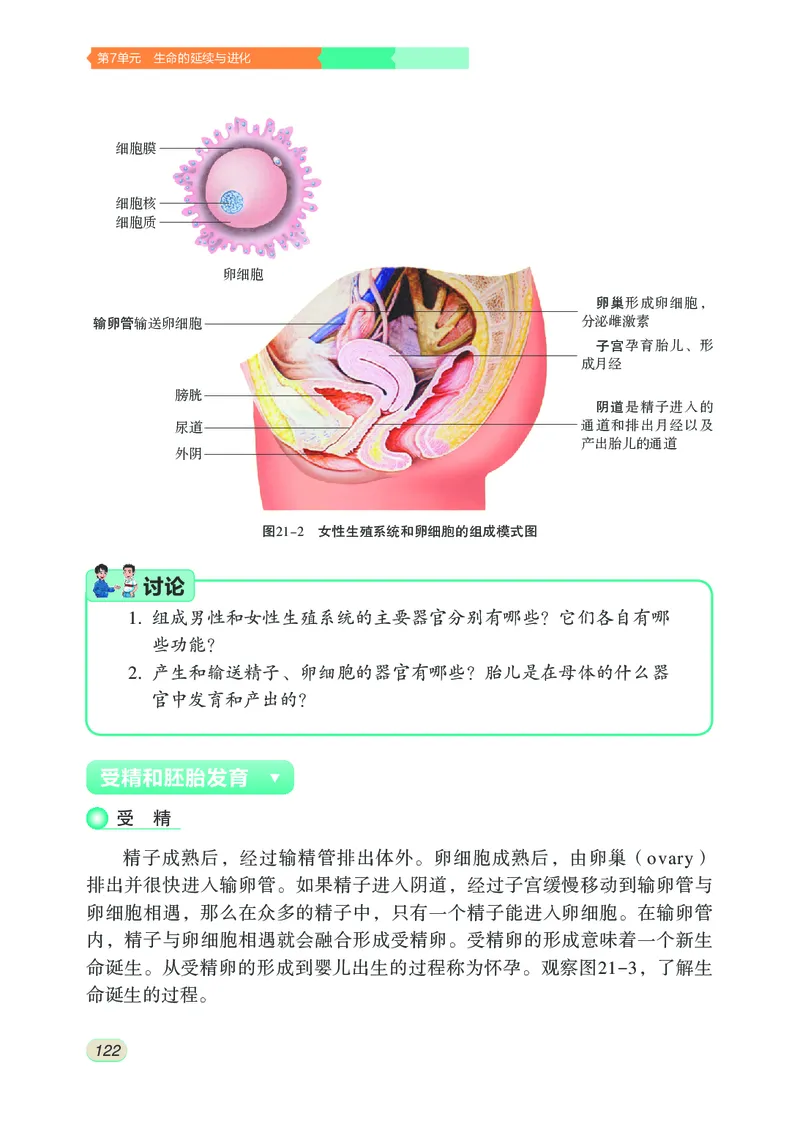 苏科版8年级生物上册高清教材_4-教培资料-26年最新资料-同步更新_初中高中教资_03科三专项（进去保存报考的学科即可）_02科三专项（笔记真题思维导图教学设计版本二）