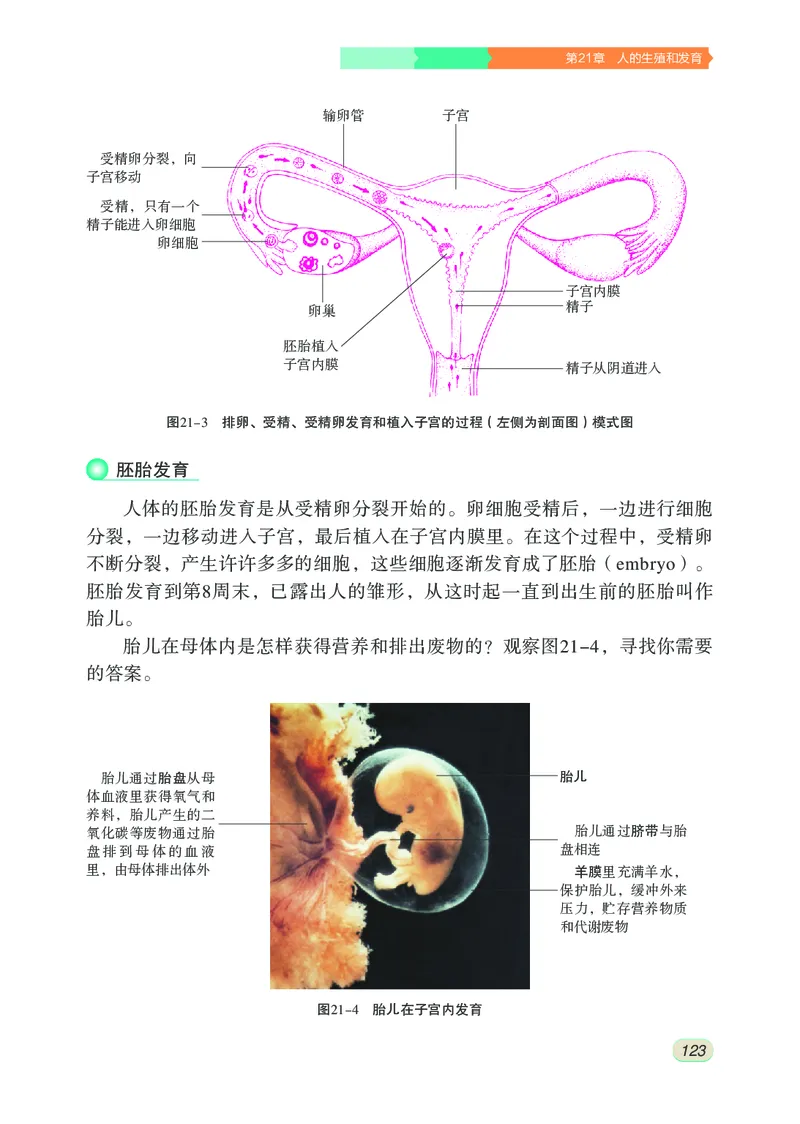 苏科版8年级生物上册高清教材_4-教培资料-26年最新资料-同步更新_初中高中教资_03科三专项（进去保存报考的学科即可）_02科三专项（笔记真题思维导图教学设计版本二）