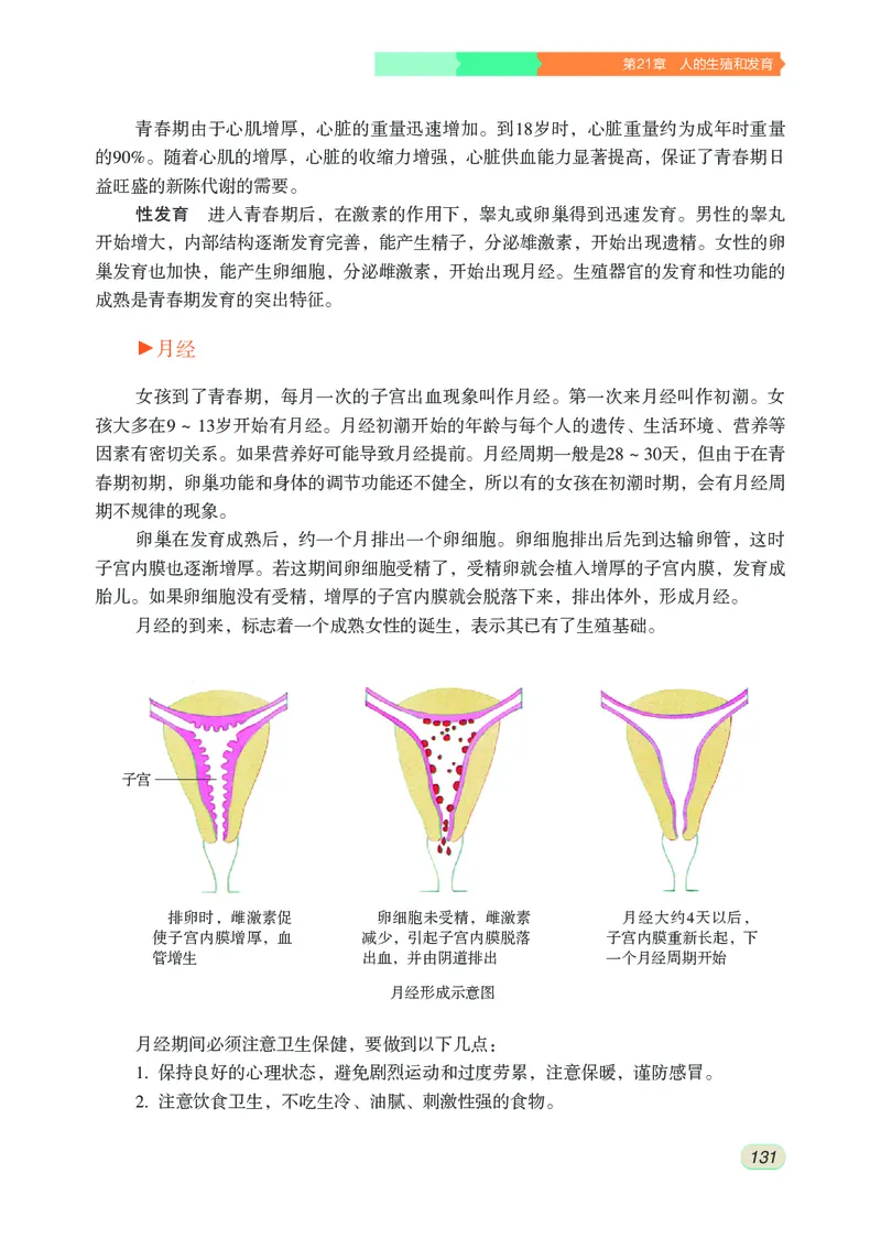 苏科版8年级生物上册高清教材_4-教培资料-26年最新资料-同步更新_初中高中教资_03科三专项（进去保存报考的学科即可）_02科三专项（笔记真题思维导图教学设计版本二）