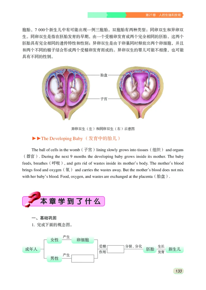 苏科版8年级生物上册高清教材_4-教培资料-26年最新资料-同步更新_初中高中教资_03科三专项（进去保存报考的学科即可）_02科三专项（笔记真题思维导图教学设计版本二）