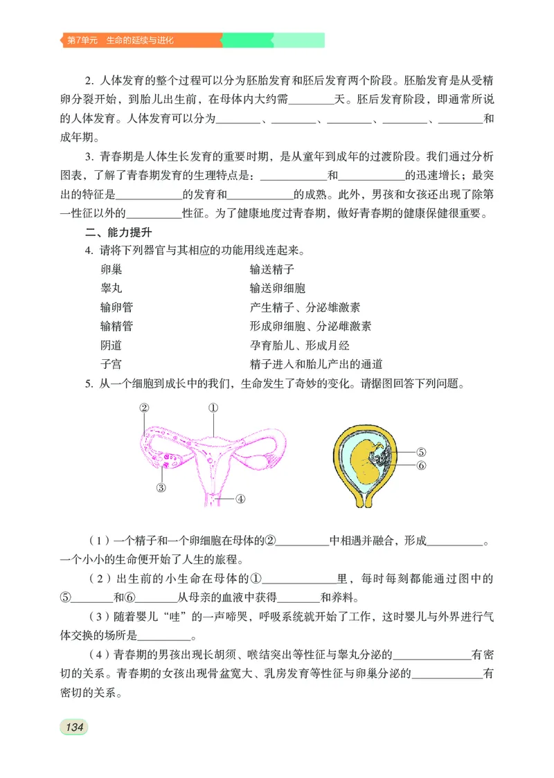 苏科版8年级生物上册高清教材_4-教培资料-26年最新资料-同步更新_初中高中教资_03科三专项（进去保存报考的学科即可）_02科三专项（笔记真题思维导图教学设计版本二）